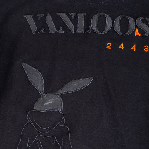 @vanloosh